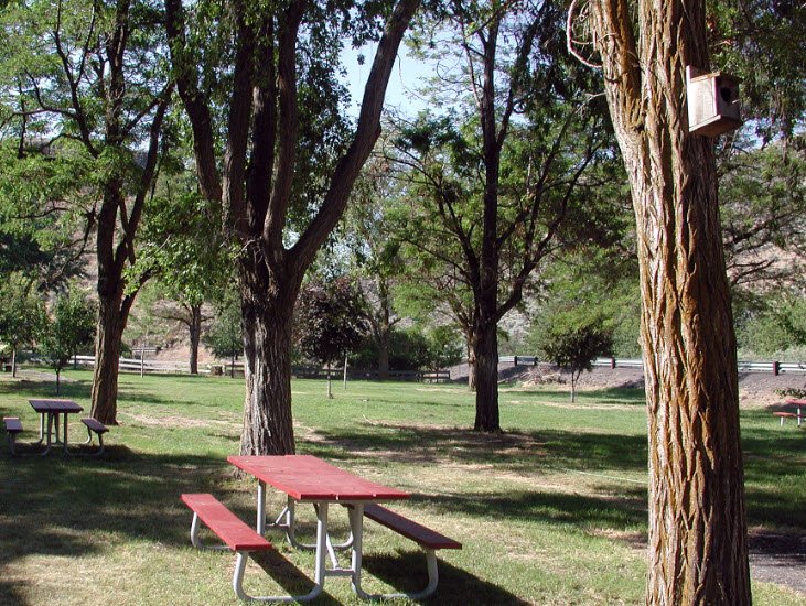 Dyer State Wayside, Oregon, USA